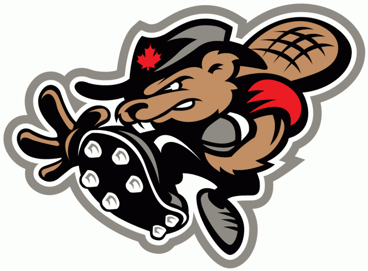 ottawa renegades 2002 alternate logo iron on transfers for clothing